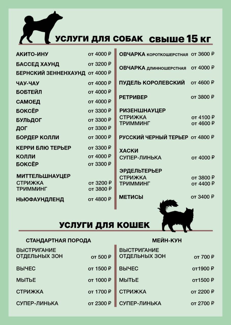 Заголовок