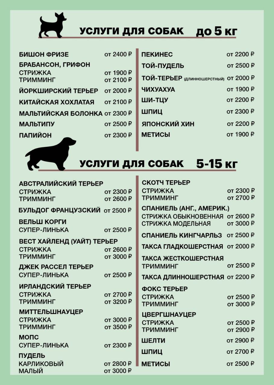 Заголовок